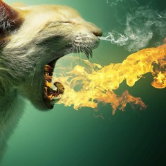 Spit Ft. Grey Connor