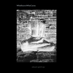 Whoknowswhocares - About Spirit EP - Quintessence - Excerpts