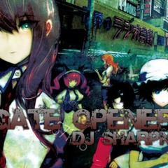 DJ Sharpnel - Gate Openerz 1.4x