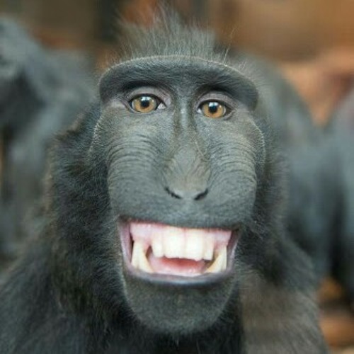 Gaya Selangit (Voc wen'Djatzky) - Chua'Meruntu Remix - simple funky -