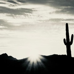 Morning, Sun (Prod. By Bruferr Beatz)