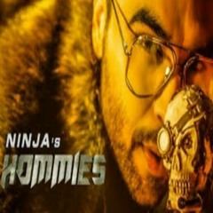 Hommies | Ninja