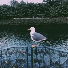 I hate you after all is said