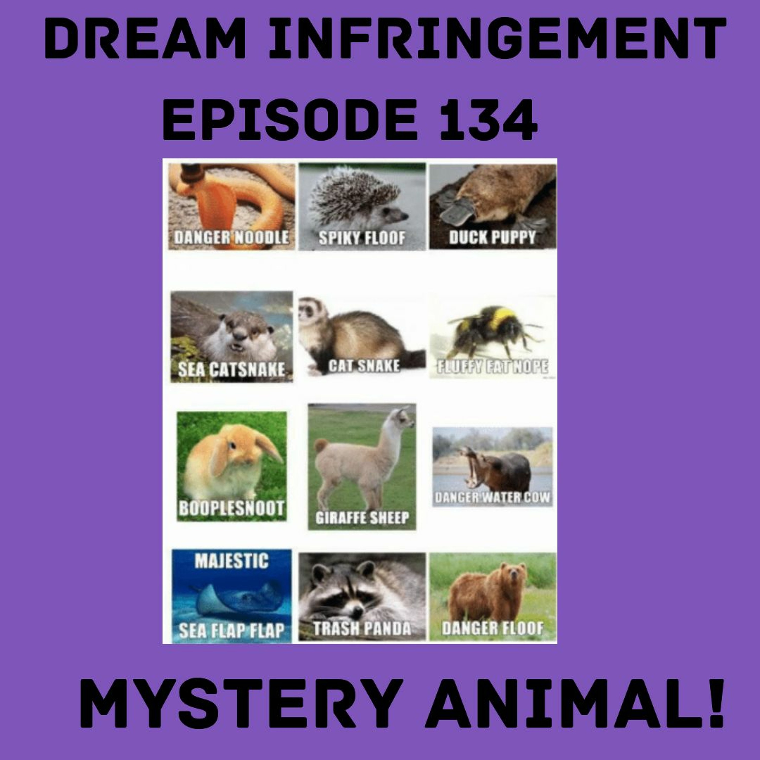 Dream Infringement 134 episode artwork
