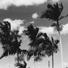 nimrakali ~ days in the west