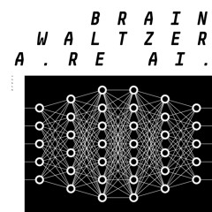 [AF021] BRAINWALTZERA 'THE KIDS ARE AI EP' [2019]