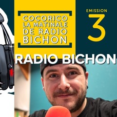 La Matinale du 17 Mars 19, Impression 3D Béton, Matos Métabo + Divers Radio Bichon