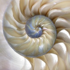 Spirals