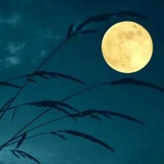 ลาวดวงเดือน - วงซอ - LaoDuangDuan - Fiddle