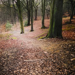 Spring Stirs