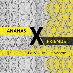 deeployed @ WERK | ANANAS X FRIENDS