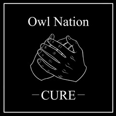 Owl Nation - Cure