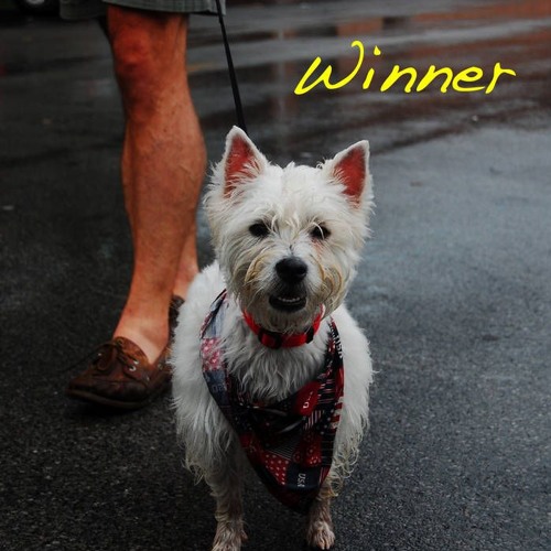 I was on alex g before all of y’all