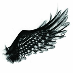 Angel Wings