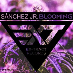 Sánchez Jr. - Vital Company (Original Mix) LOW QUALITY