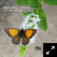 white flag cover