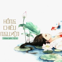 [Vietsub + Kara] Hồng Chiêu Nguyện - Từ Vi - 红昭愿 - 徐薇