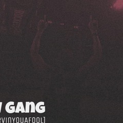 Flow Gang - FLG(2012)[Prod By DevinYouAFool]