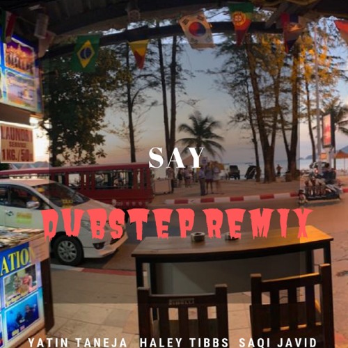 Say - Haley Tibbs