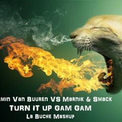 Armin van Buuren vs Marnik & Smack  - Turn It Up Gam Gam ( La Buche Mashup )