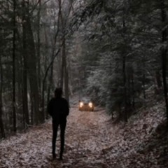 ever - white noise valley (prod. hamflipper x distortion)