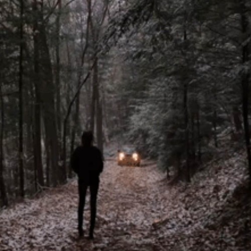 ever - white noise valley (prod. hamflipper x distortion)