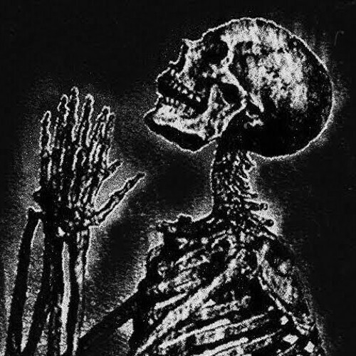 INTROVERSION 2.0 (SLOWED)
