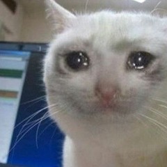 ​​​‍‍‍‌‌‌‎‎‎‏‏‏ПОЛЮС˕˕˕ ２