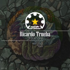 Ricardo Trueba - After Life (Original Mix)