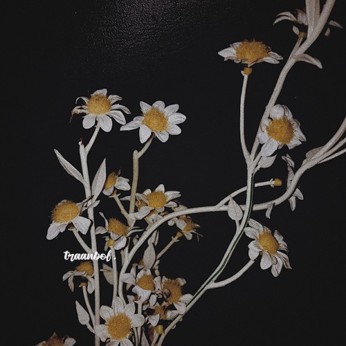 Biết cũng thế thui à, nên kệ!