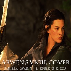 Arwen's Vigil - The Piano Guys (cover)