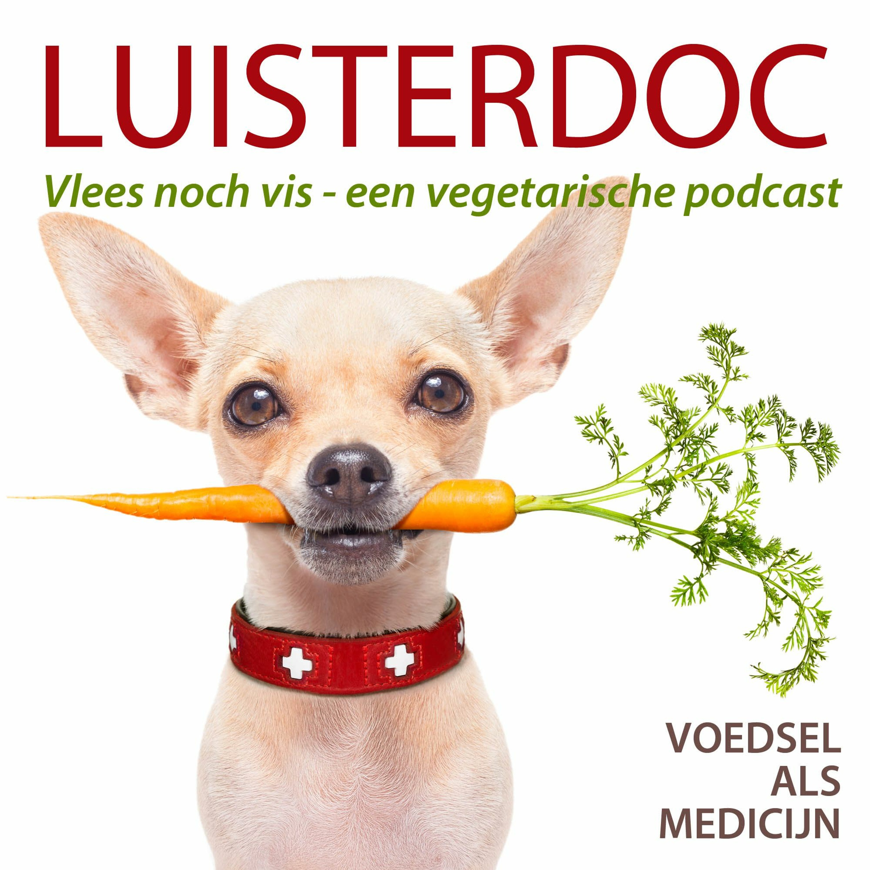 Luisterdoc