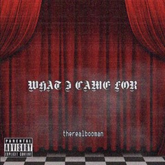 What I Came For (feat. K-Flaw & Gr3mli7e)