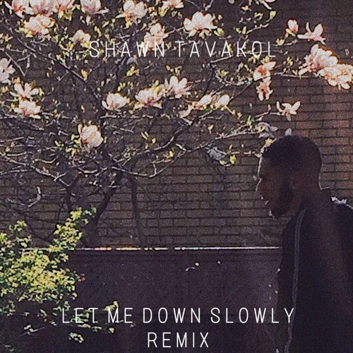 stream-let-me-down-slowly-remix-by-shawntavakol-listen-online-for