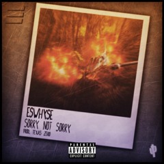 Sorry Not Sorry[Freestyle](Prod. Texas Zero)
