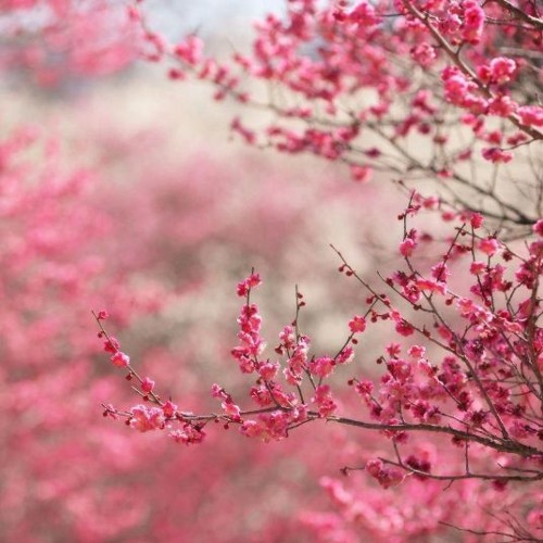 Nice Breeze Up Here (Prod. By LXVE)