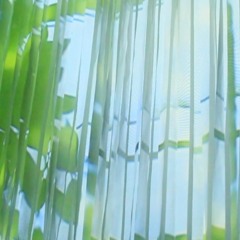 no names but thingless names (2018)