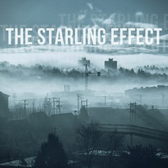 03 - The Starling Effect - Tree Museum