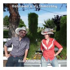Hotmood & dj ShmeeJay - Ain't No Big Thing