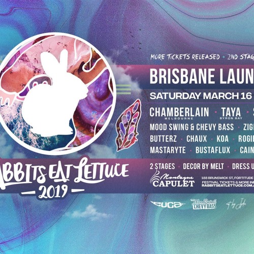 Rabbits Eat Lettuce 2019 Launch Party *live set*