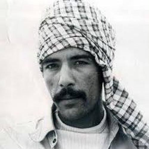 علی حبیب زاده (علی خان) - هوباد گنو