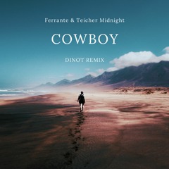 Ferrante & Teicher Midnight Cowboy (DINOT REMIX)