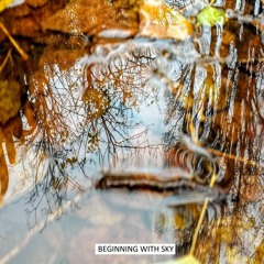 Roar You Bastards! (Final Album Edit)