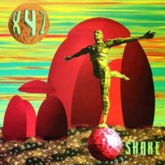 XYZ - Shake (F.U.K Remix)