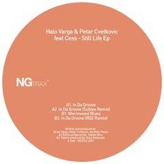 Halo Varga & Petar Cvetkovic feat Cess - In Da Groove (RQZ Remix)