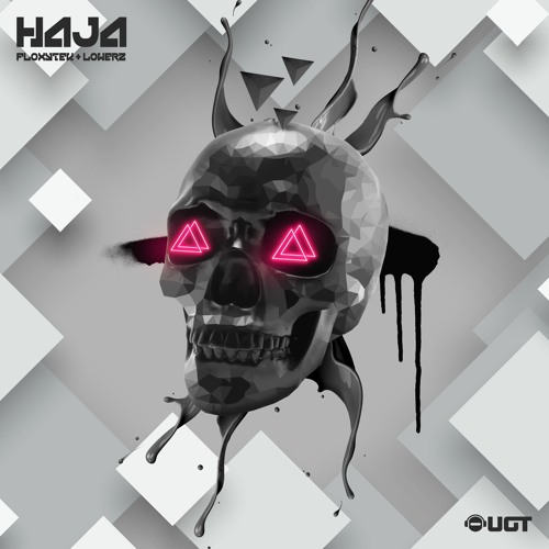 Floxytek & Lowerz - Haja