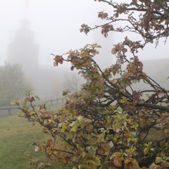 George Reshetar  "Valse Elegante"