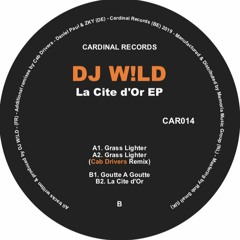 A1. DJ W!LD - GRASS LIGHTER Snip