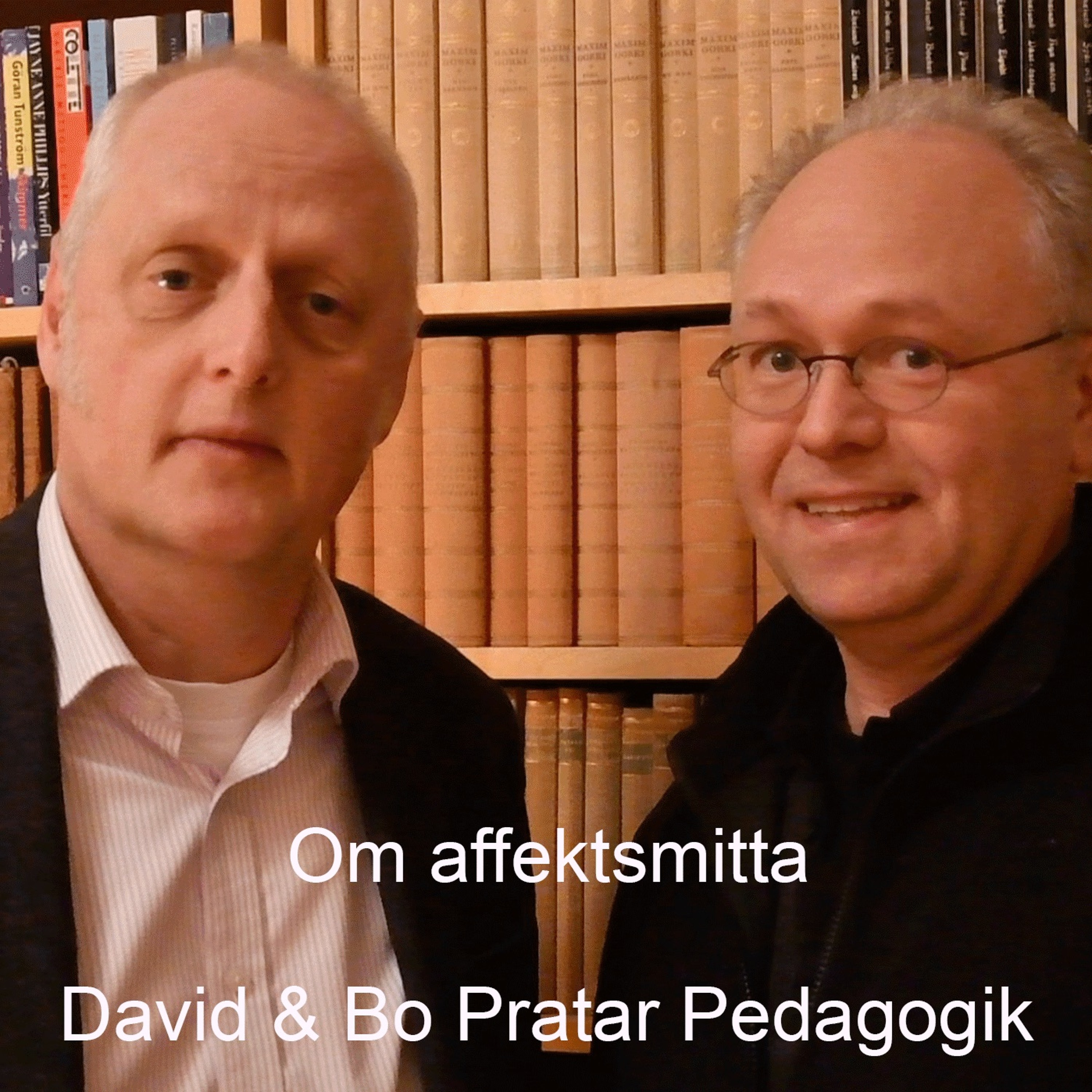 David & Bo Pratar Pedagogik