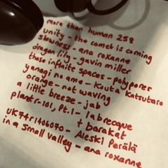 More Than Human 258